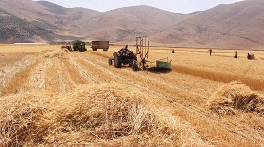 Türkiye'den karış karış tarım arazisi alan Bill Gates açıkladı! Türkiye'den arazi almasının nedeni bakın ne çıktı... 5